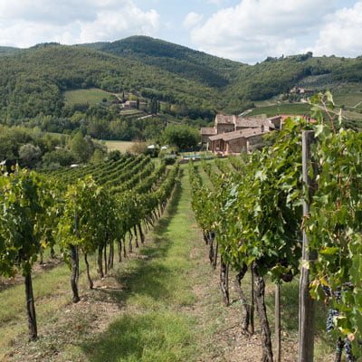 Vin fra Chianti