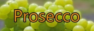 Vin med Prosecco druen