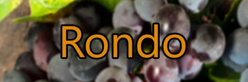 Vin med Rondo druen